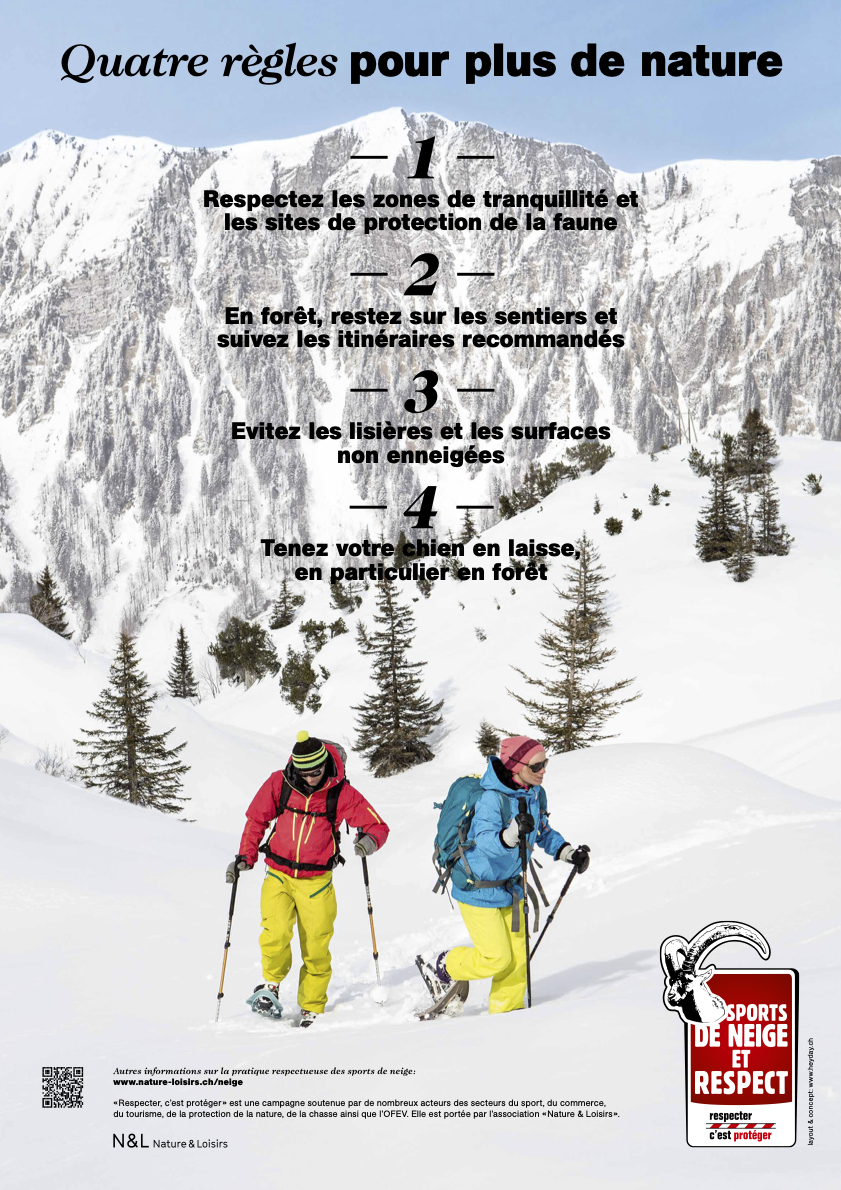 Plakat Schneeschuh