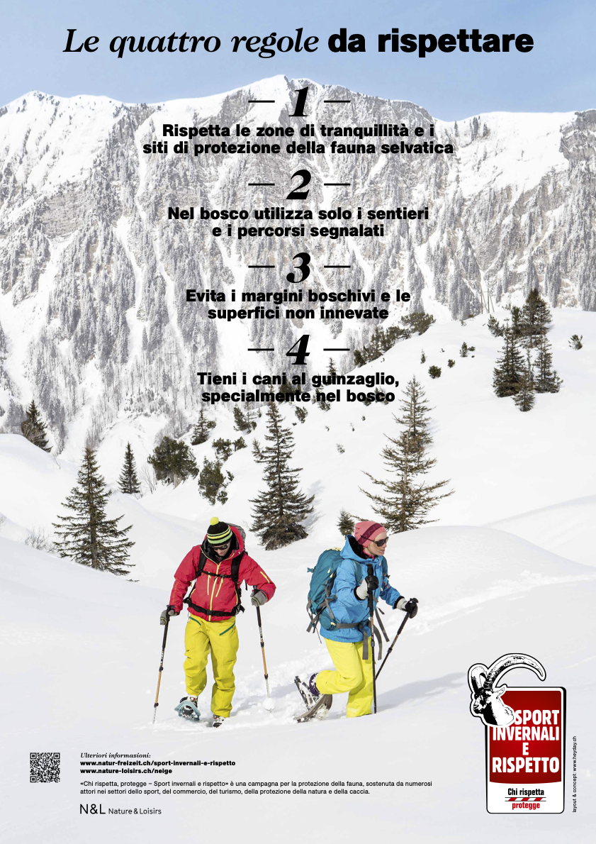 Plakat Schneeschuh