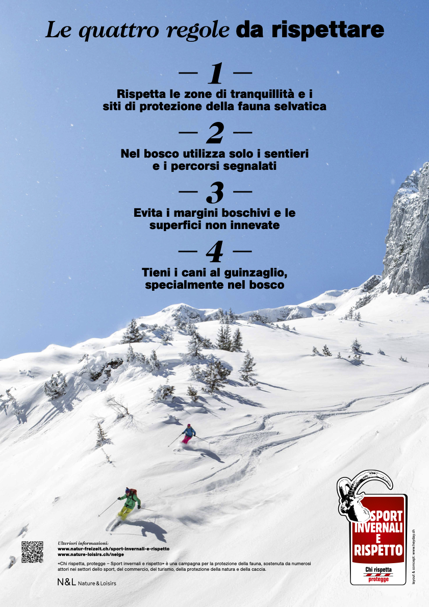 Plakat Skitouren