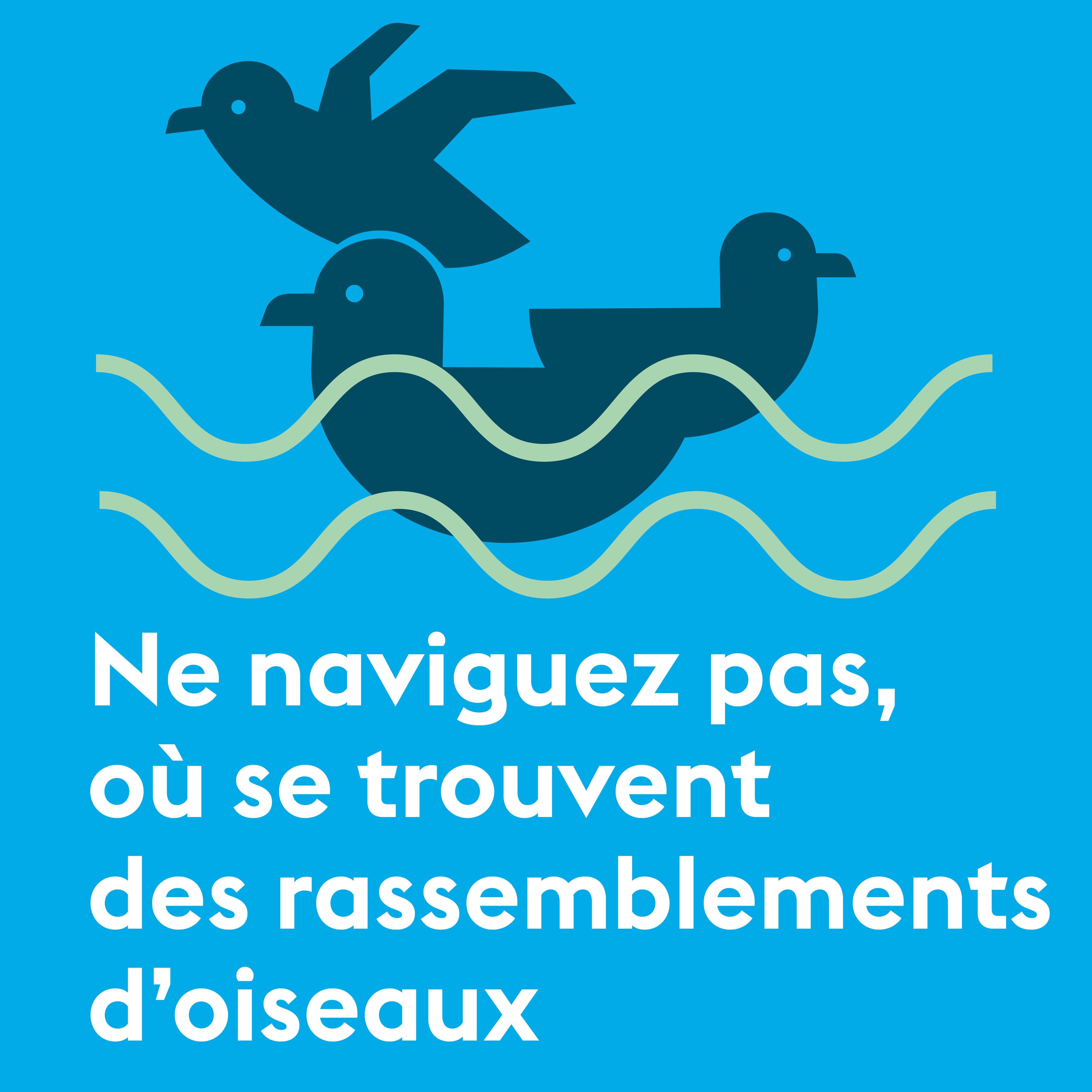 Ne naviguez pas, où se trouvent des rassemblements d'oiseaux