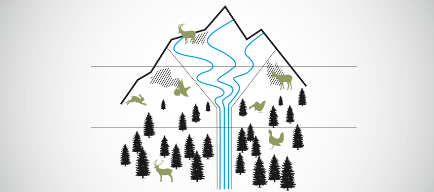 Schneesport mit Rücksicht von Natur und Freizeit zum Thema Wildtiere