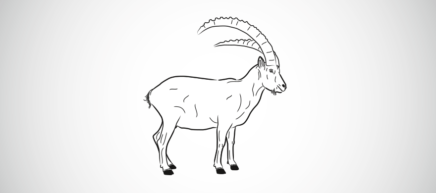 Steinbock