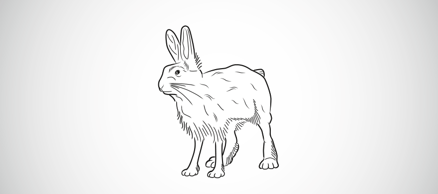 Le lièvre variable