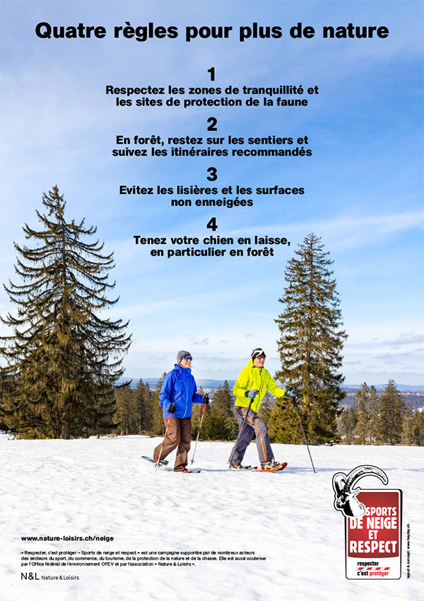 Plakat Freeriding