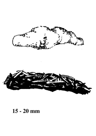 Losung Alpenschneehuhn
