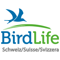 Birdlife